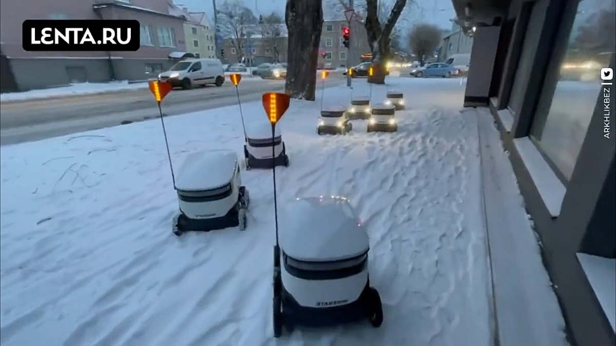 Tiny Robot Courier Trucks Get Stuck After Snowfall in Estonia: Watch