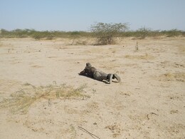 Locus Maps App: Finder of Lost Phones and Great for Surveys Too Locus Maps App: Finder of Lost Phones and Great for Surveys Too