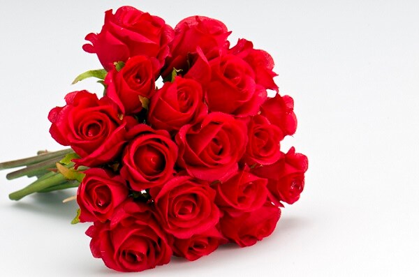 Rose Flower