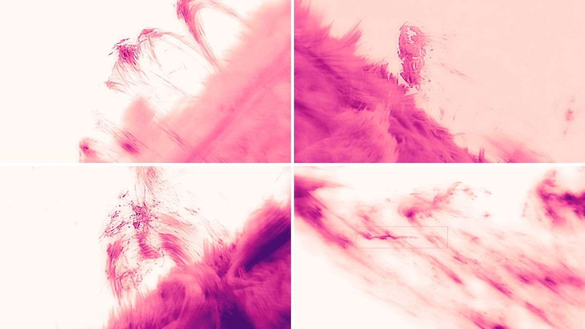 Scientists Capture Plasma Streams, Coronal Raindrops in Sharpest-Ever View of Sun’s Corona