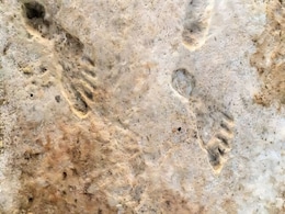 Ancient Footprints in White Sands Confirm Humans Reached America 23,000 Years Ago Ancient Footprints in White Sands Confirm Humans Reached America 23,000 Years Ago