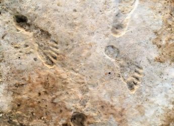 Ancient Footprints in White Sands Confirm Humans Reached America 23,000 Years Ago