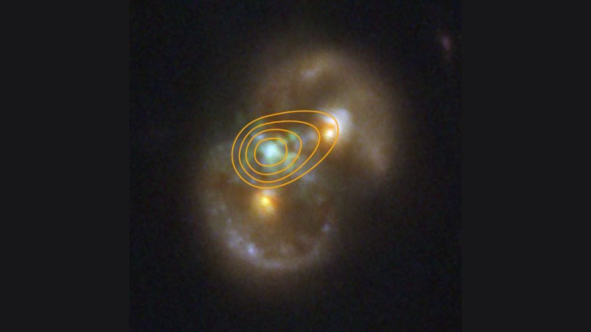 JWST Finds Black Hole Between Galaxy Cores, Hinting at Rare Direct Collapse Birth