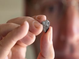 Cosmic Visitor: 4.56-Billion-Year-Old Meteorite Strikes into Georgia Home Cosmic Visitor: 4.56-Billion-Year-Old Meteorite Strikes into Georgia Home