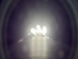 SpaceX Launches 24 More Starlink Satellites, Expands Global Internet Network SpaceX Launches 24 More Starlink Satellites, Expands Global Internet Network