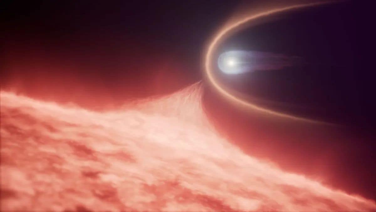 Hubble Discovers White Dwarf Merger Remnant with Unusual Carbon Signature