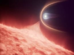 Hubble Discovers White Dwarf Merger Remnant with Unusual Carbon Signature Hubble Discovers White Dwarf Merger Remnant with Unusual Carbon Signature