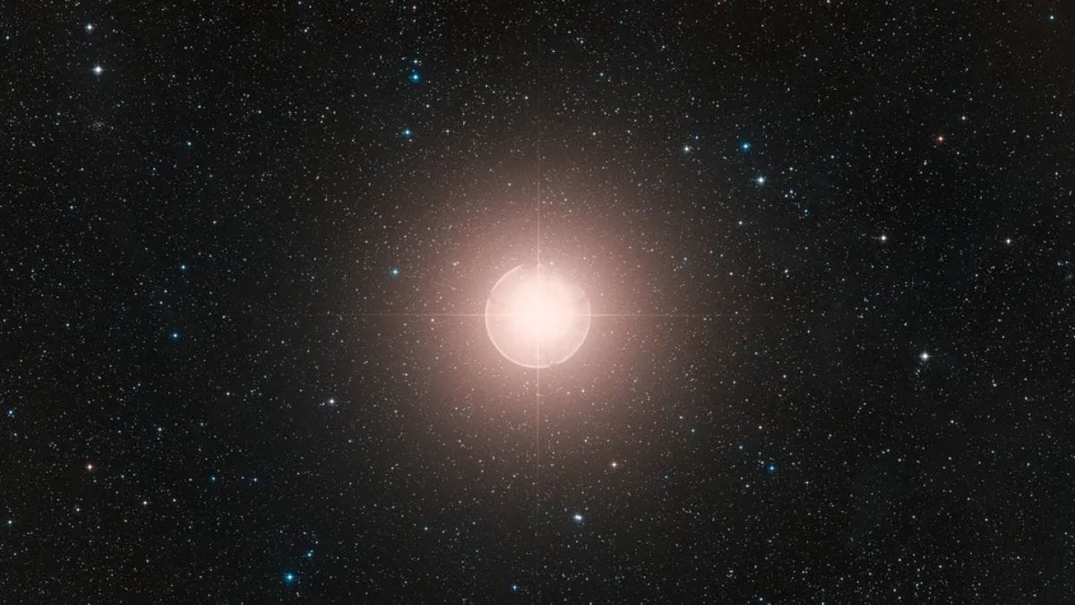 NASA Telescopes Capture First-Ever Companion Star Orbiting Massive Red Supergiant Betelgeuse NASA Telescopes Capture First-Ever Companion Star Orbiting Massive Red Supergiant Betelgeuse