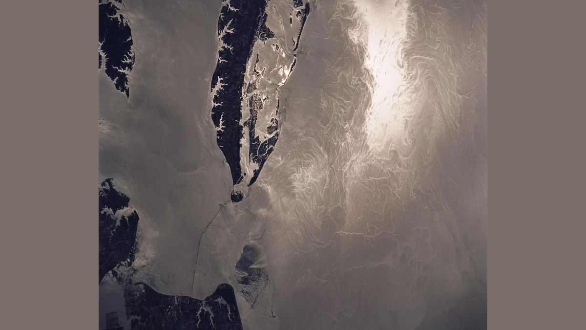 NASA’s SWOT Satellite Reveals Big Impact of Small Ocean Currents and Waves in n Marine Ecosystems