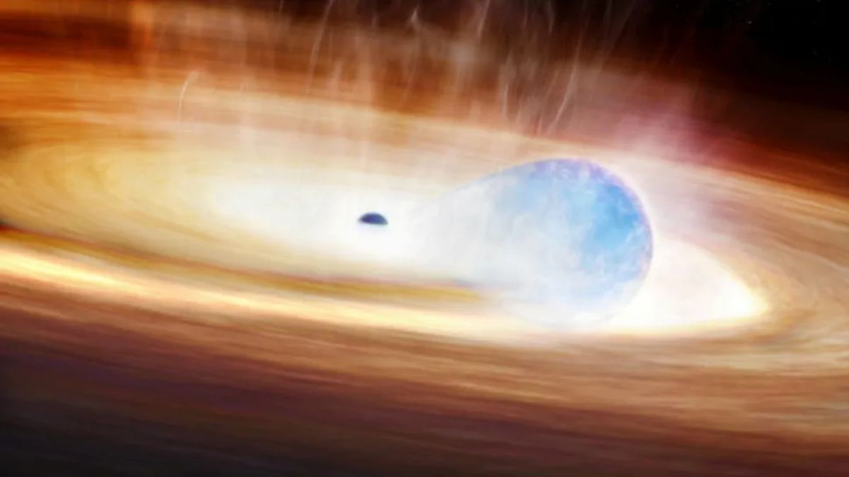 Astronomers Observe Rare Supernova&ndash;Black Hole Interaction in Early Stages