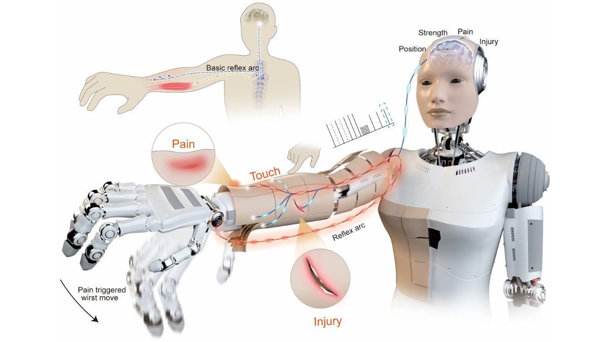 Researchers Develop Neuromorphic ‘E-Skin’ to Give Humanoid Robots Pain Reflexes