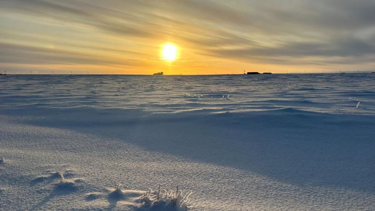 Arctic Report Card Flags Fast Warming, Record Heat and New Risks