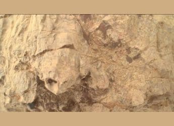 NASA’s Perseverance Rover Spots Turtle-Shaped Rock in Mars’ Jezero Crater