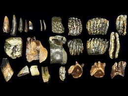 800-Year-Old Mummy Reveals Unusual Facial Tattoos Made from Rare Minerals 800-Year-Old Mummy Reveals Unusual Facial Tattoos Made from Rare Minerals