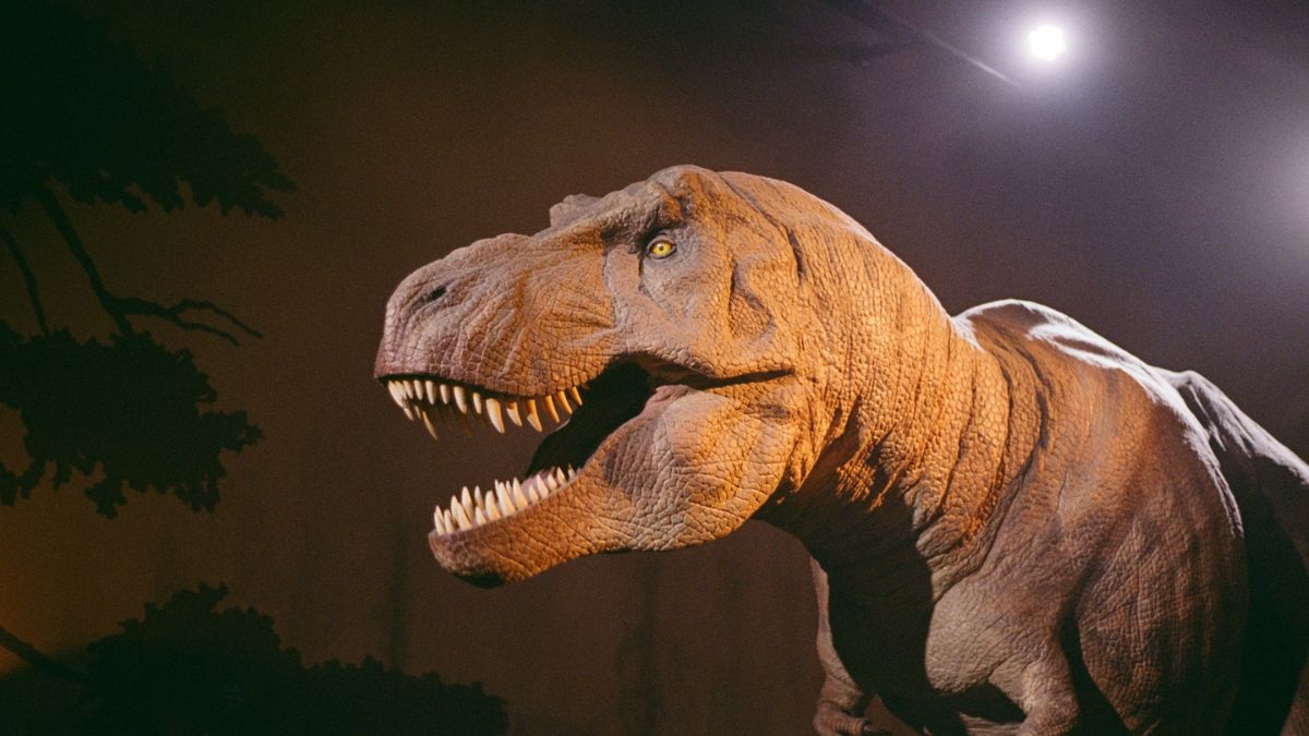 New Study Traces T-Rex&rsquo;s Origins to Asia and Links Gigantic Size to Climate Shift