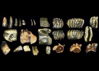 800-Year-Old Mummy Reveals Unusual Facial Tattoos Made from Rare Minerals