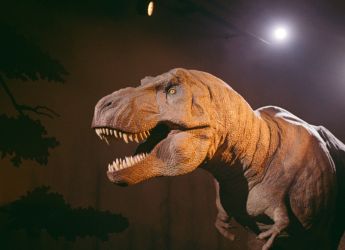 New Study Traces T-Rex&rsquo;s Origins to Asia and Links Gigantic Size to Climate Shift
