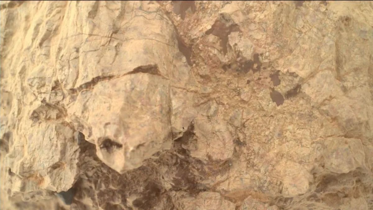 NASA’s Perseverance Rover Spots Turtle-Shaped Rock in Mars’ Jezero Crater