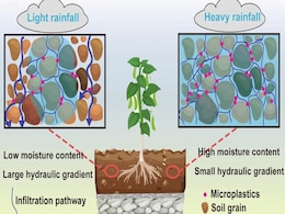 Green Rooftops Could Help Cities Like Shanghai Filter Out Tons of Microplastics from Rainwater Green Rooftops Could Help Cities Like Shanghai Filter Out Tons of Microplastics from Rainwater