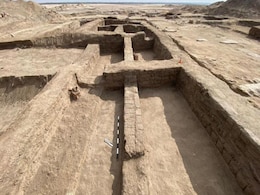 New Study eries Reveal Ancient Egyptian Fortress Once Lined with 500 Trees New Study eries Reveal Ancient Egyptian Fortress Once Lined with 500 Trees
