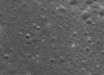 Scientists Discover Three-Eyed Sea Moth From Half a Billion Years Ago