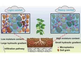 Green Rooftops Could Help Cities Like Shanghai Filter Out Tons of Microplastics from Rainwater