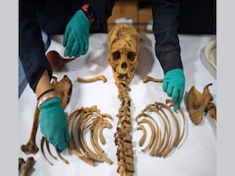 1,000-Year-Old Mummy Found by Gas Workers in Peru Linked to Chancay Culture 1,000-Year-Old Mummy Found by Gas Workers in Peru Linked to Chancay Culture