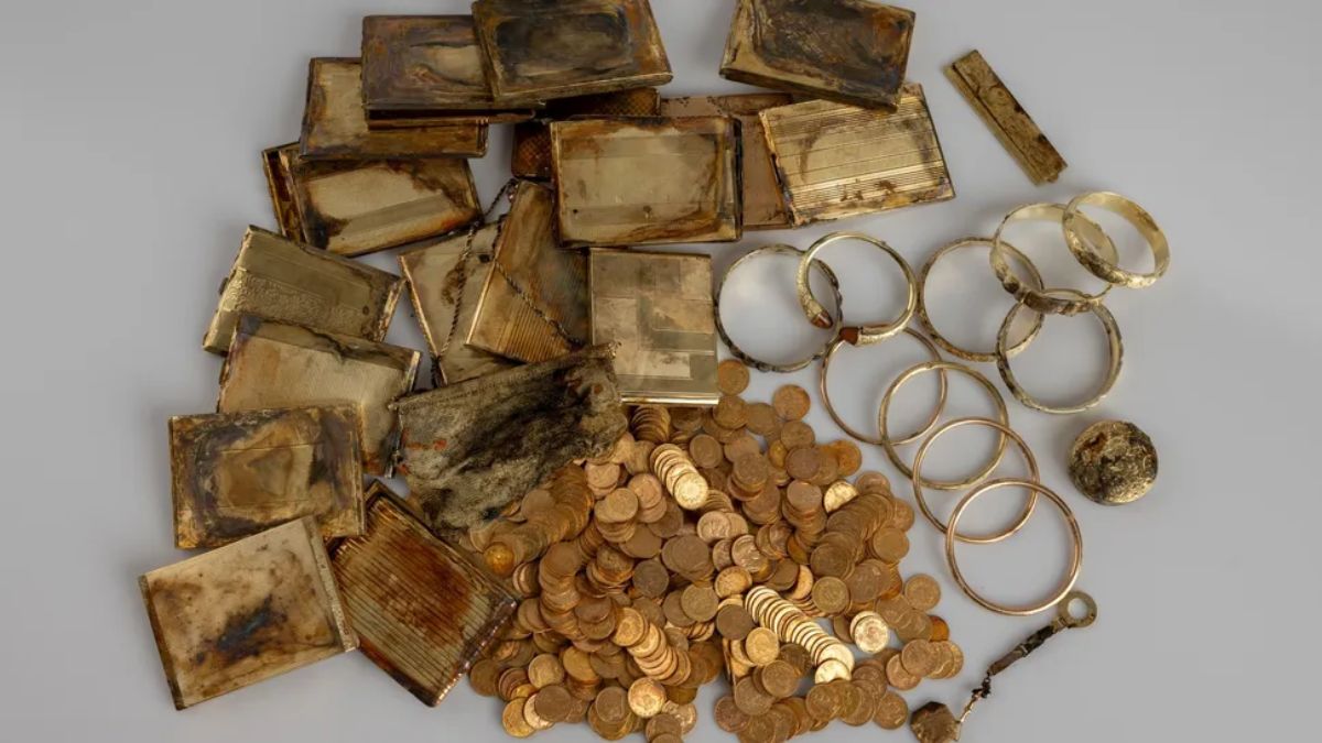 Hikers Stumble Upon 600 Gold Coins in Czech Forest Near Polish Border
