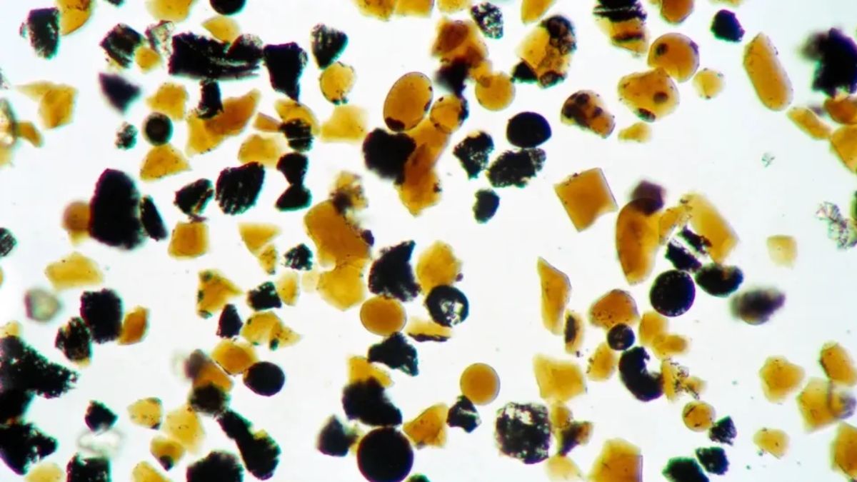 Apollo Astronauts Found Orange Glass Beads on the Moon, Scientists Now Know Why