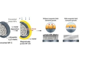 Magnetic Control of Lithium Enables Safer, High-Capacity &ldquo;Dream Battery&rdquo; Without Explosion Risk