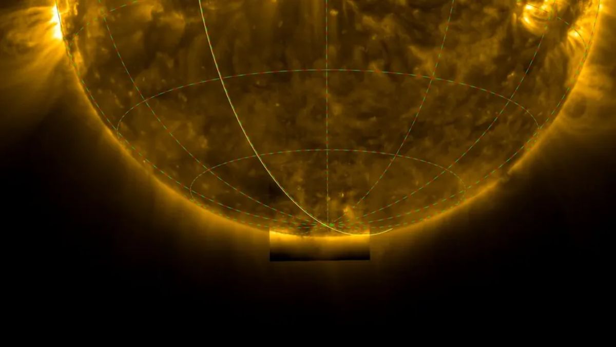 Solar Orbiter Captures First-Ever Close-Up of Sun&rsquo;s South Pole, Revealing Magnetic Field Chaos
