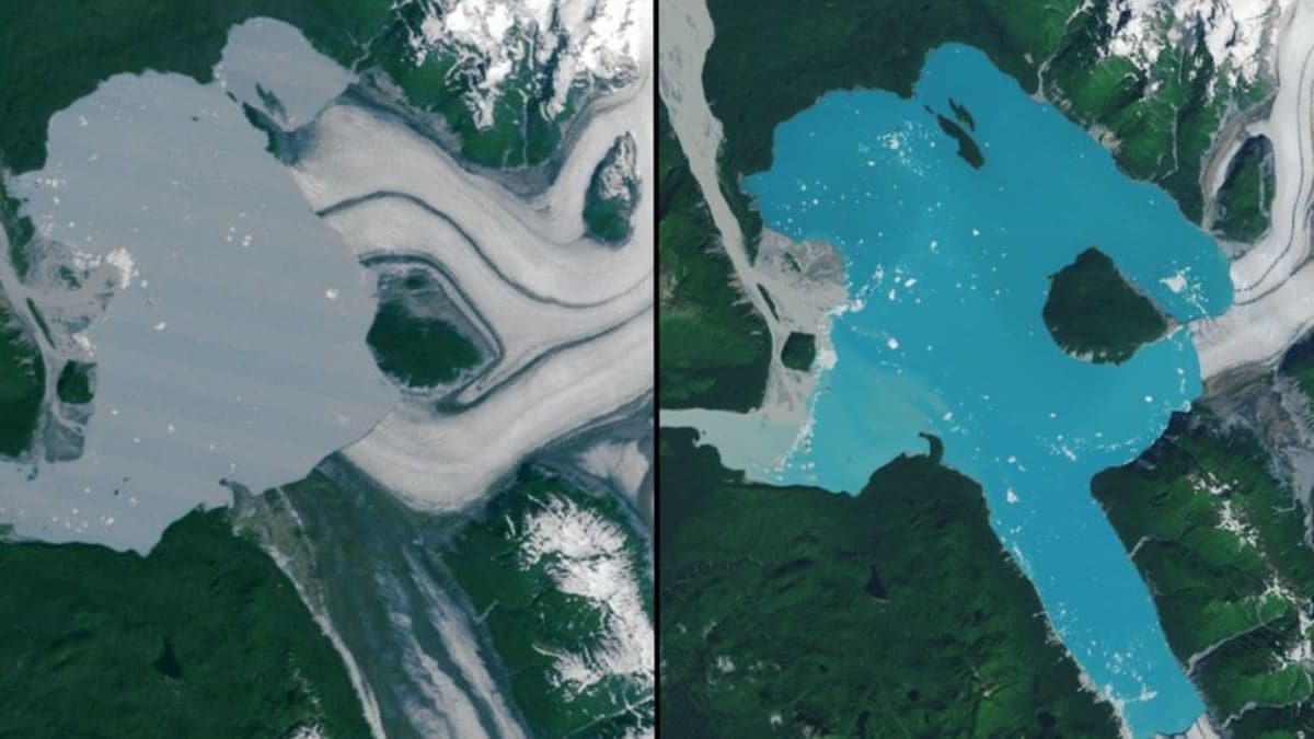 NASA Images Show New Island Formed by Retreat of Alaska’s Alsek Glacier