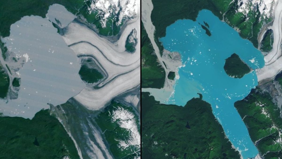 NASA Images Show New Island Formed by Retreat of Alaska&rsquo;s Alsek Glacier
