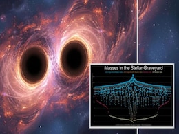 Astronomers Discover Stellar Graveyard Filled With Black Hole and Neutron Star Collisions Astronomers Discover Stellar Graveyard Filled With Black Hole and Neutron Star Collisions