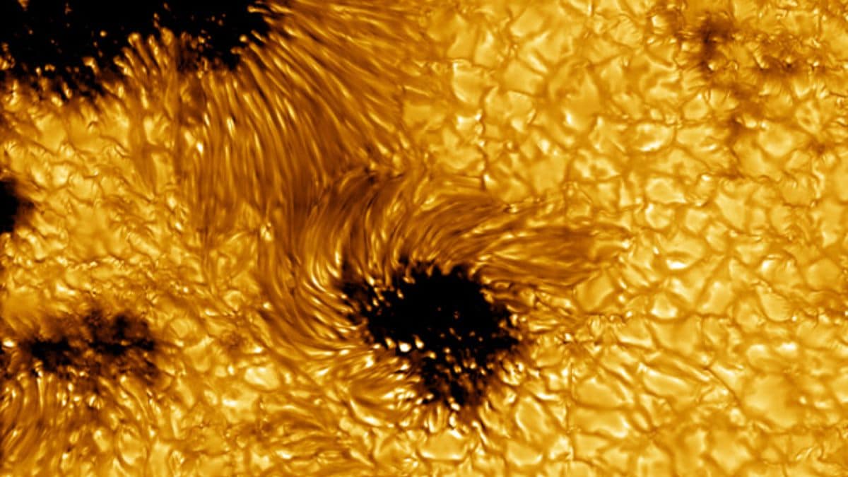 Astronomers Capture Sharpest-Ever Solar Flare Images with NSF’s DKIST Telescope
