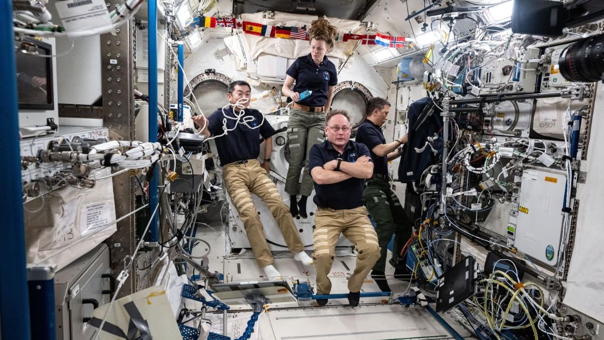 ISS Crew Studies Bone Loss and Brain Adaptation to Safeguard Astronaut Health
