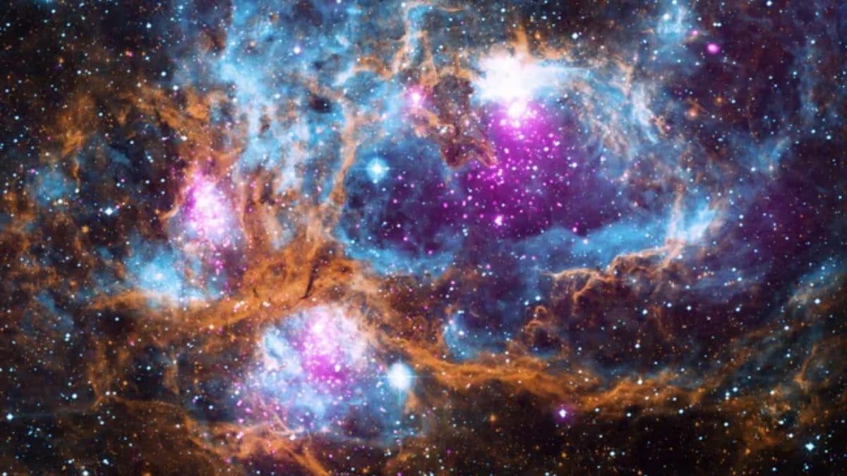 James Webb Spots Bizarre Planet-Forming Disk Full of Carbon Dioxide