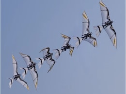 Bird-Inspired Robot With Innovative Wing Design Achieves Self-Takeoff and Controlled Flight Bird-Inspired Robot With Innovative Wing Design Achieves Self-Takeoff and Controlled Flight
