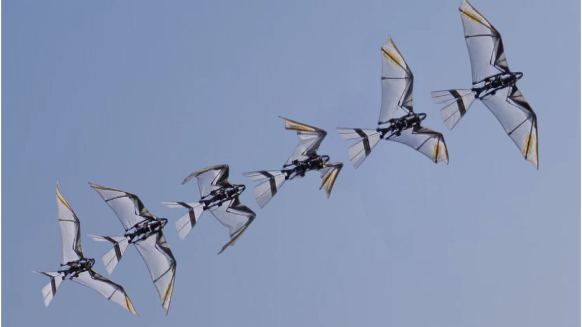 Bird-Inspired Robot With Innovative Wing Design Achieves Self-Takeoff and Controlled Flight