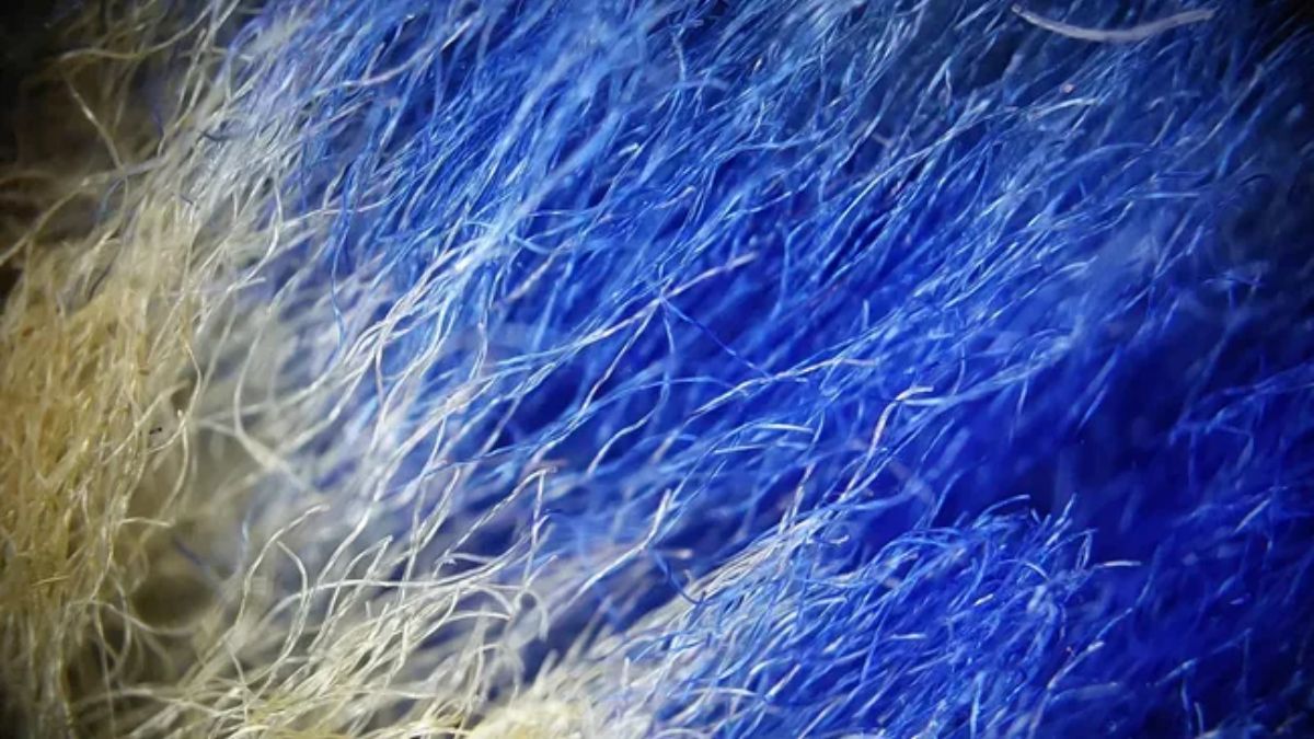 Washable Fiber Computer Could Transform the Future of Smart Clothing, Study Finds