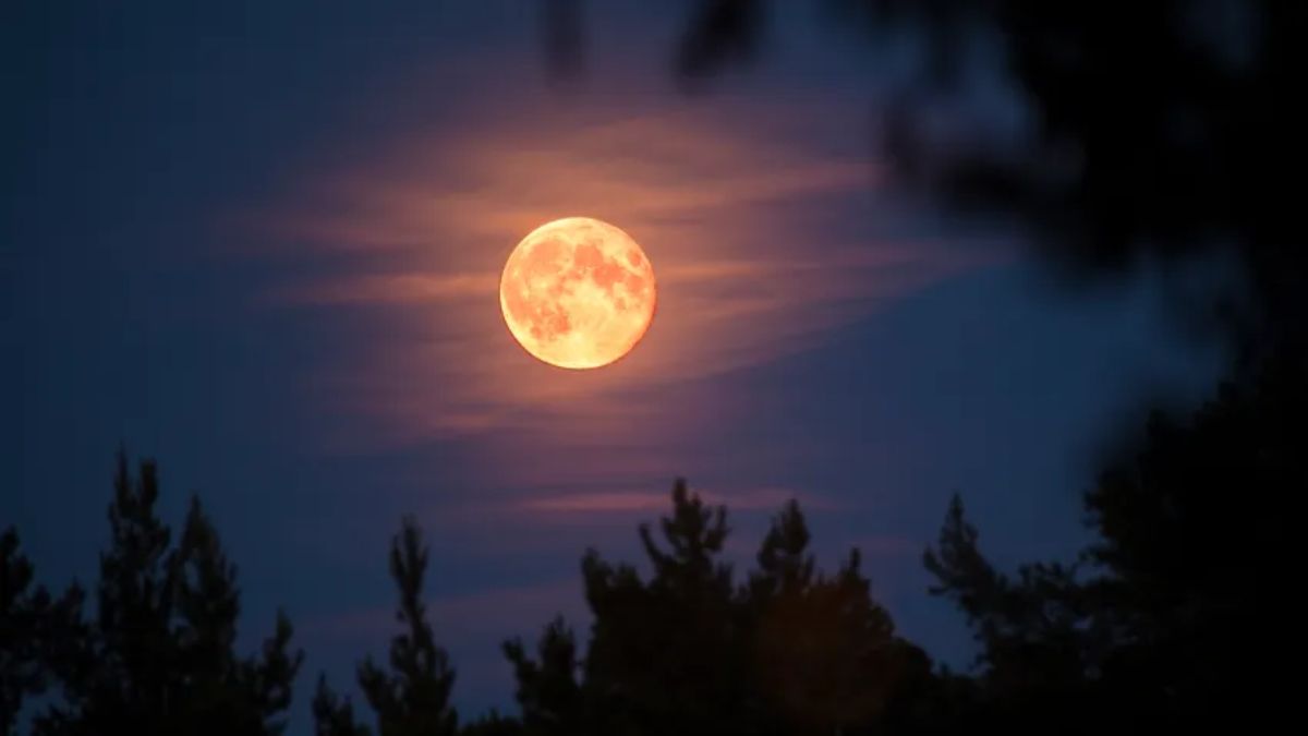 Supermoon 2025: When Is the Next Full Moon Lighting Up the Sky