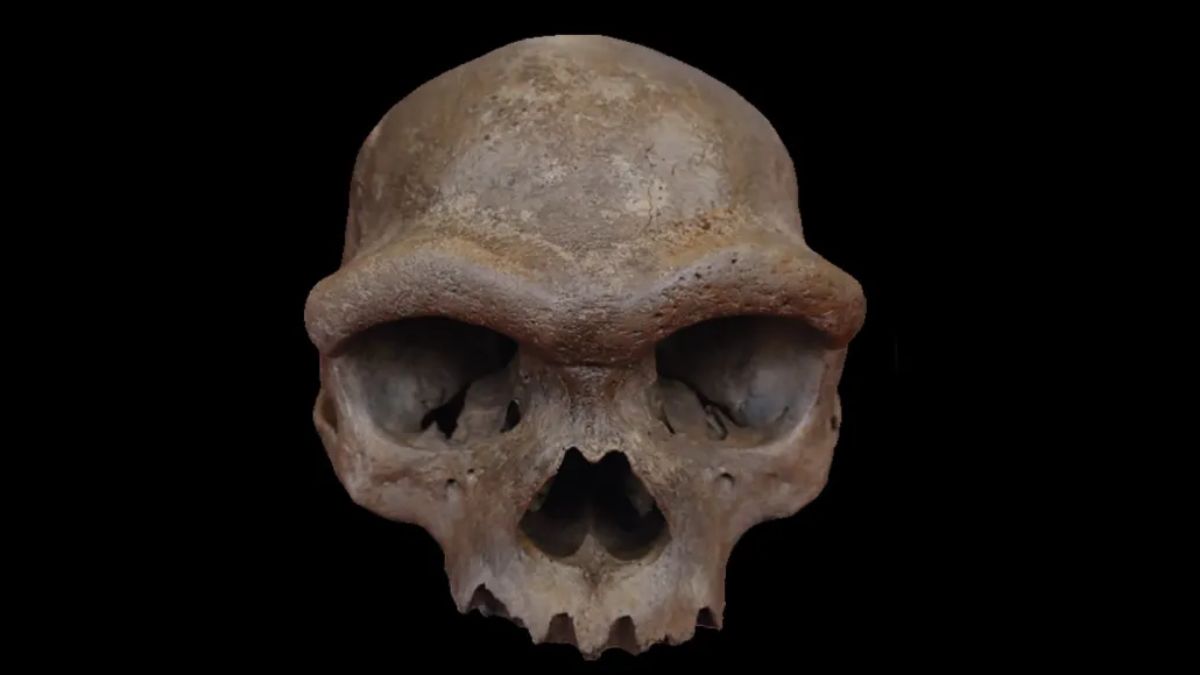 China&rsquo;s Dragon Man Skull Found to Belong to Denisovan Lineage
