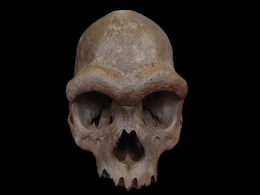 China’s Dragon Man Skull Found to Belong to Denisovan Lineage China’s Dragon Man Skull Found to Belong to Denisovan Lineage