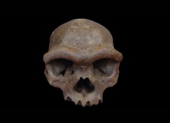 China&rsquo;s Dragon Man Skull Found to Belong to Denisovan Lineage