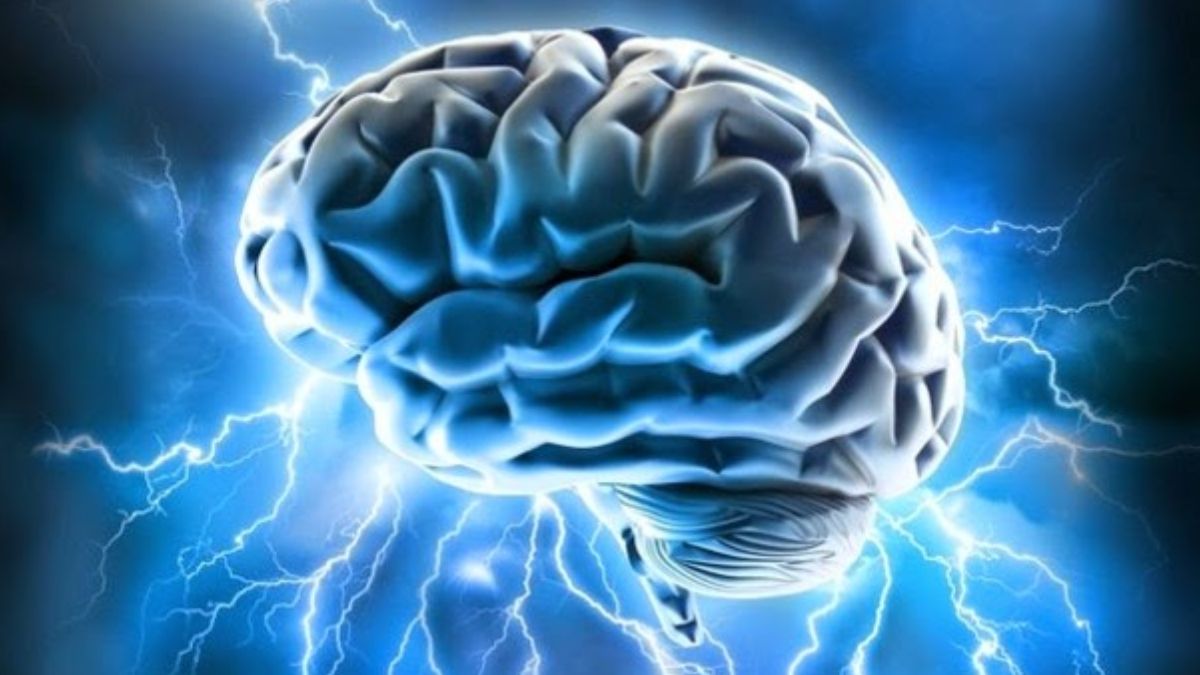 Brain&rsquo;s Built-In Signal Threshold Helps Differentiate Imagination from Reality