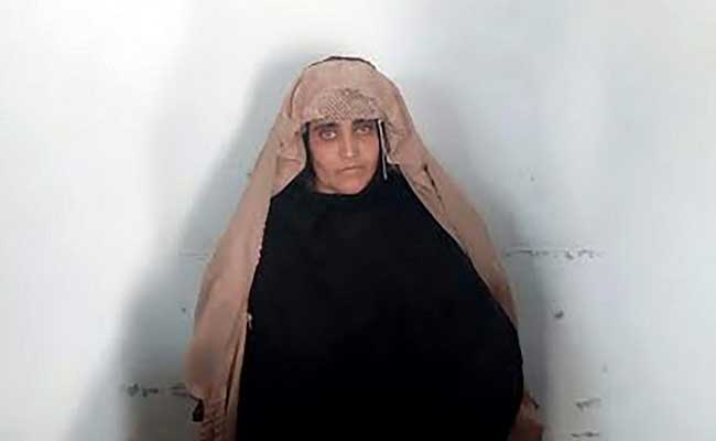 Pakistan To Free On Bail National Geographic 'Afghan Girl'