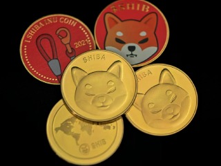 Shiba Inu Bill Payments Now Enabled in One of Dubai&rsquo;s Highest Rated Hotels, Details Here