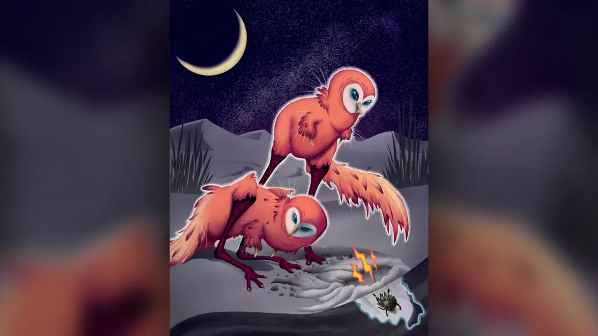 This Tiny Dinosaur Hunted At Night And Could Hear Better Than An Owl
