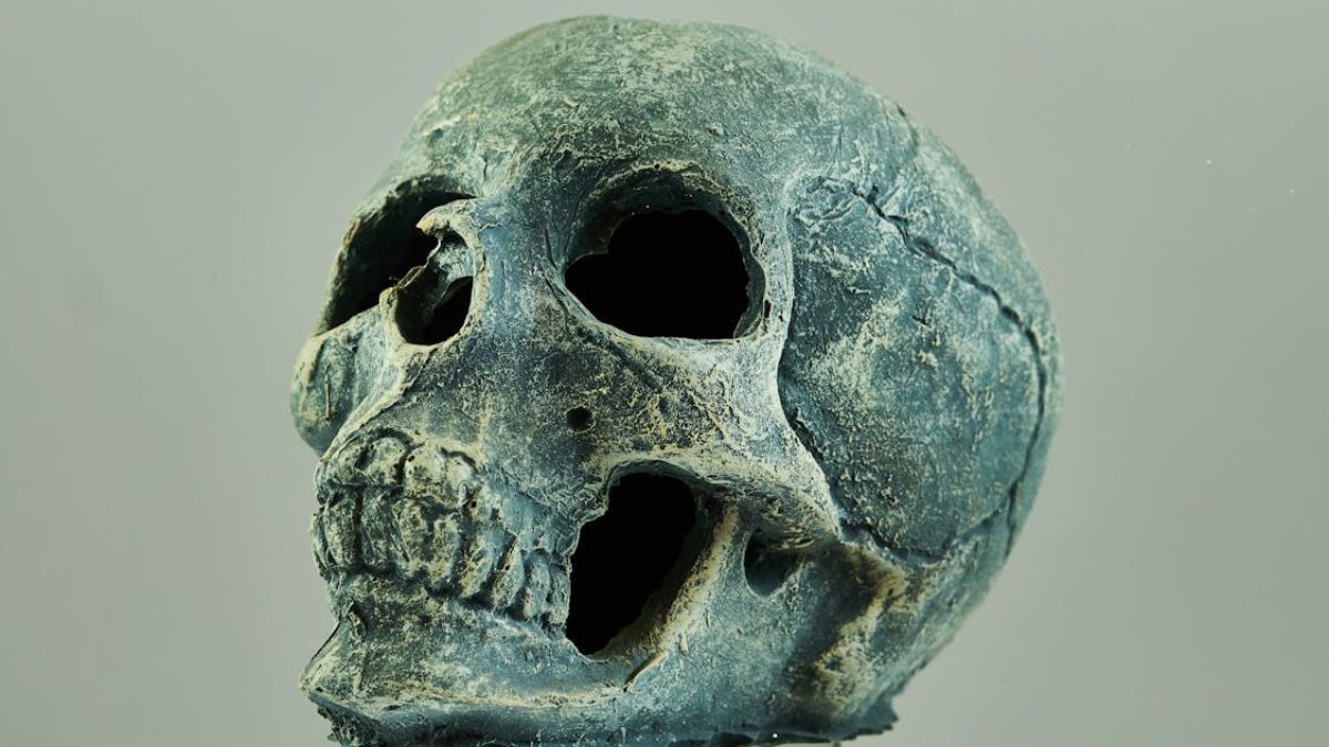 Skull Found in Turkey Identified as 11-Year-Old Boy, Not Cleopatra's Sister Arsino&euml; IV