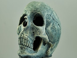 Skull Found in Turkey Identified as 11-Year-Old Boy, Not Cleopatra's Sister Arsinoë IV Skull Found in Turkey Identified as 11-Year-Old Boy, Not Cleopatra's Sister Arsinoë IV